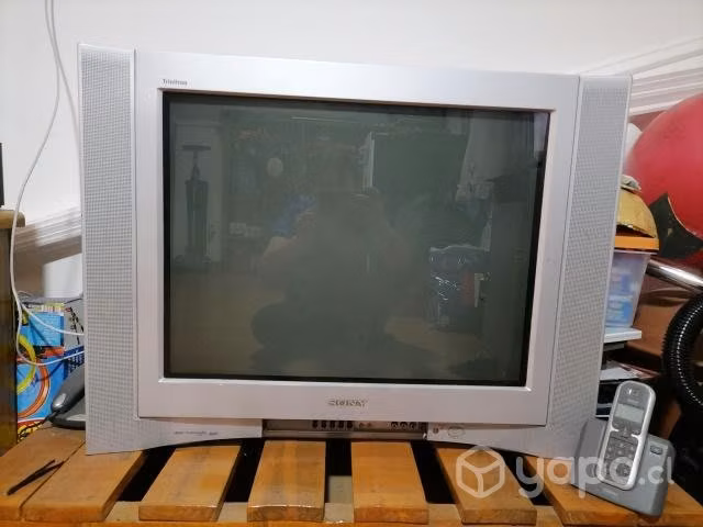 Vendo televisor Sony con subwoofer 29 pulgadas - Imagen 2