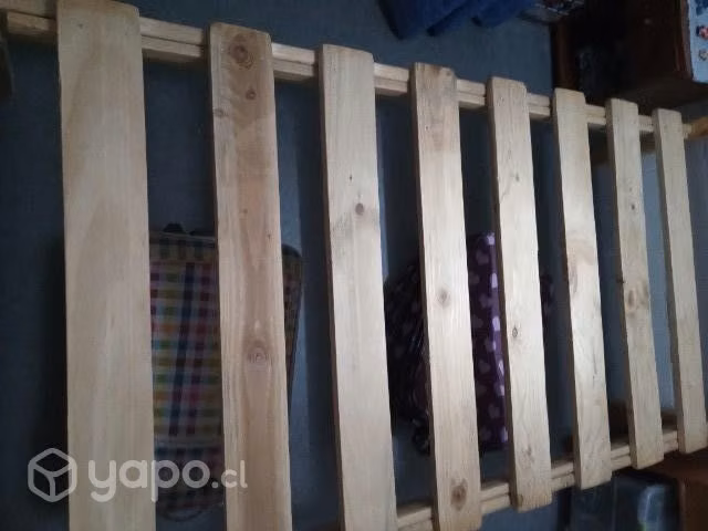 Cama