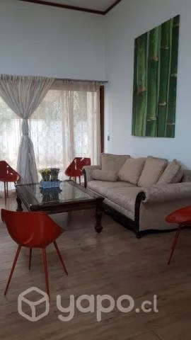 Cuatro sillas Frame - Imagen 5