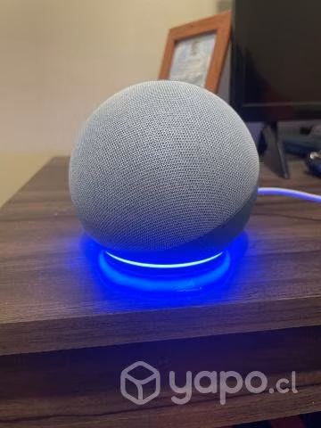 Alexa nueva - Imagen 3