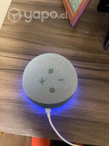 Alexa nueva - Imagen 2