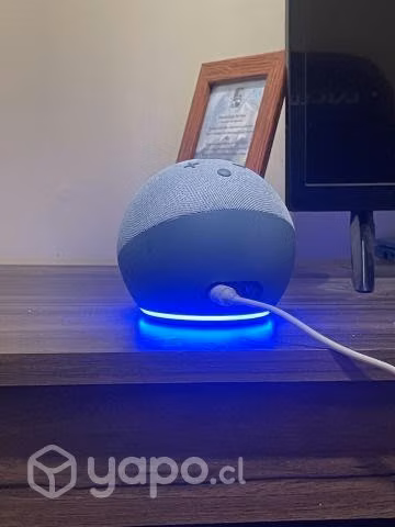 Alexa nueva - Imagen 4