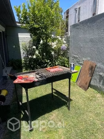 Parrilla a carbon