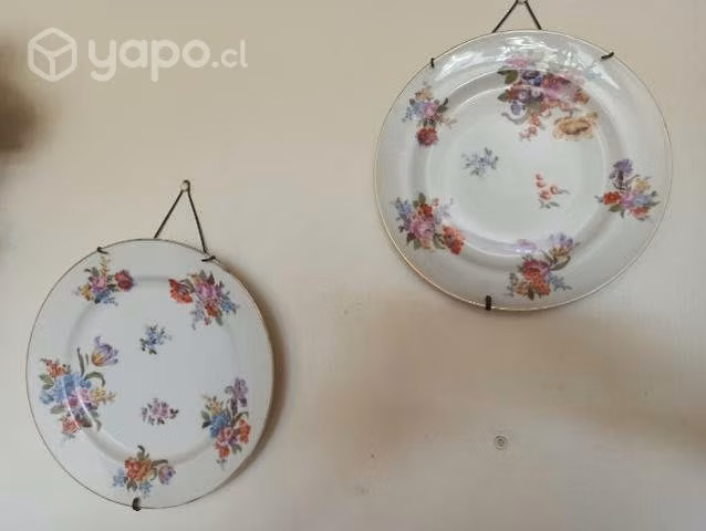 Platos de porcelana francesa Limoges