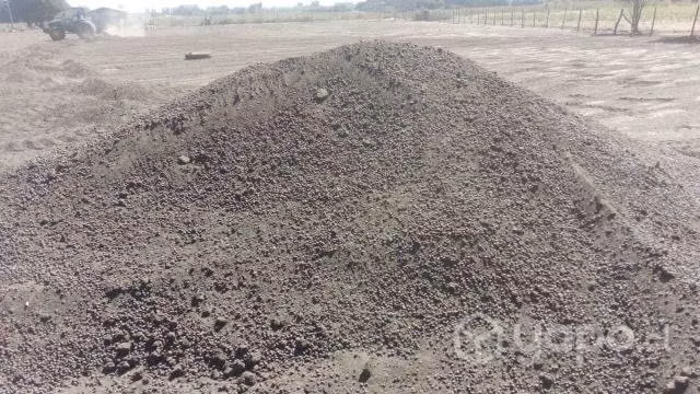 Guano Oveja