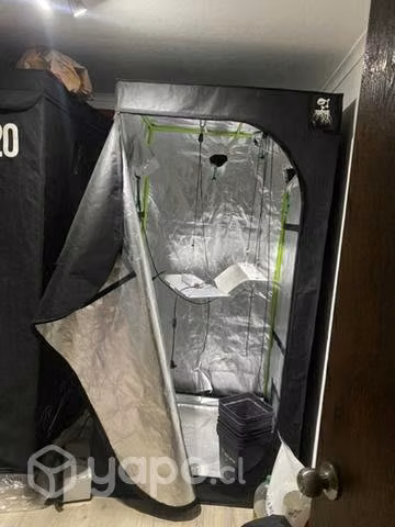 Indoor pirhanaled raptor de 250