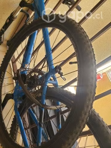 Trek marlyn 7
