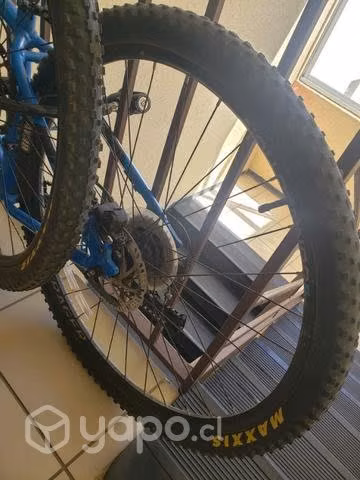 Trek marlyn 7