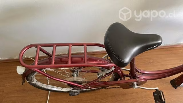 Bicicleta altitude