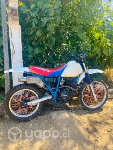 Honda xr