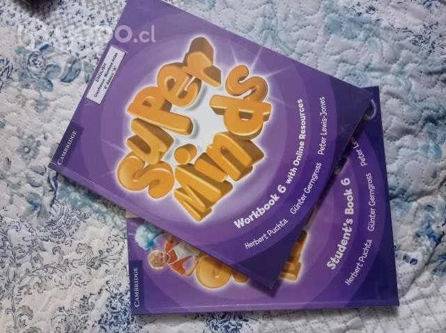 Super Minds 6