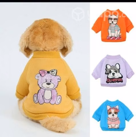 Accesorios de perritos