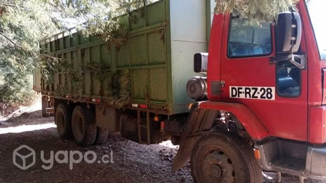 Vendo camión Ford