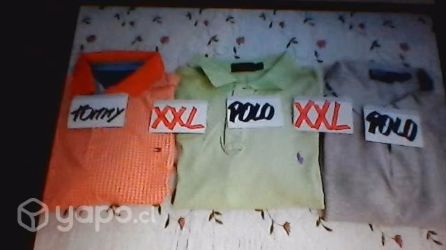 Poleras de marca