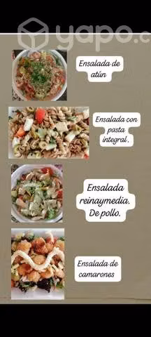 Fajitas de pollo con verduras Colación empresas
