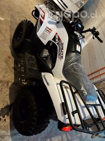 Kawasaki brute force 300