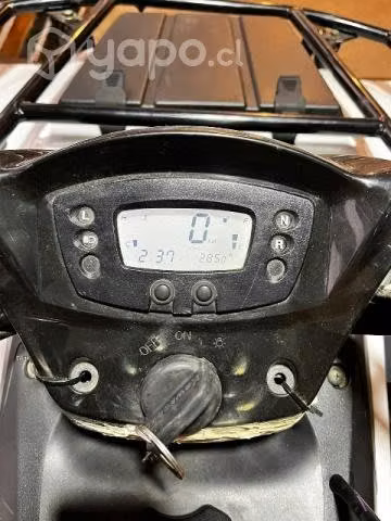 Kawasaki brute force 300
