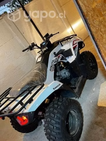 Kawasaki brute force 300