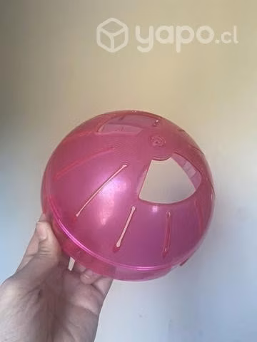Accesorios hamster