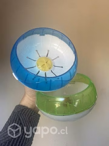 Accesorios hamster