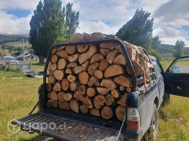 Leña de lenga oreada