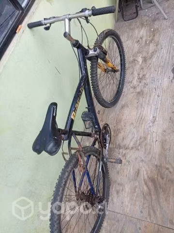 Bicicleta oxford y bianchi