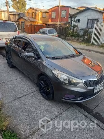 Cerato 2013