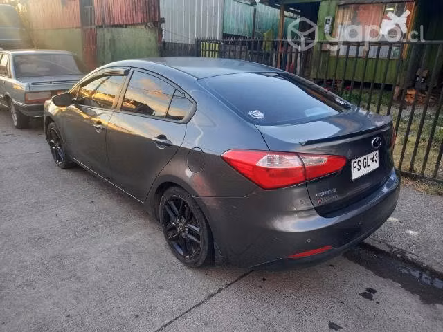 Cerato 2013