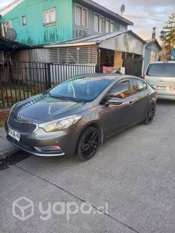 Cerato 2013