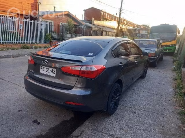 Cerato 2013