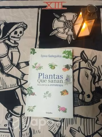 Plantas que sanan: Guía práctica de aromaterapia