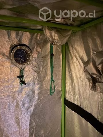 Kit carpa indoor piranha