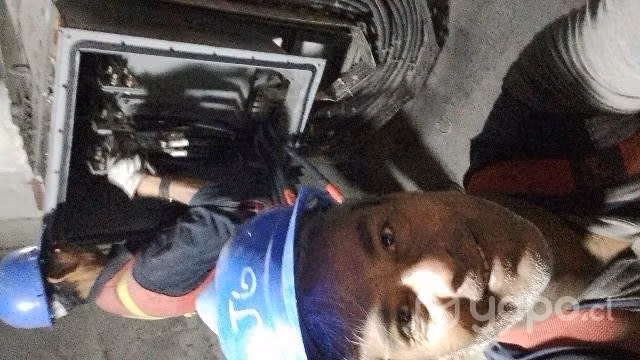 Técnico eléctrico SEC