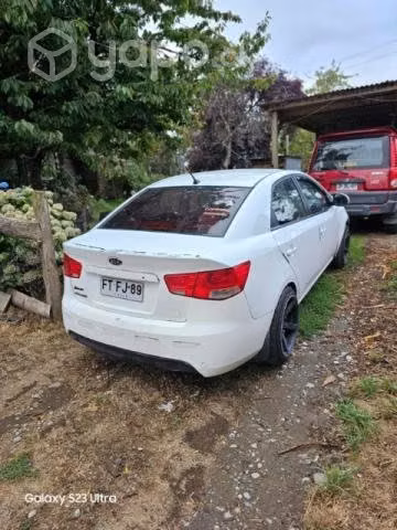 Cerato 2013