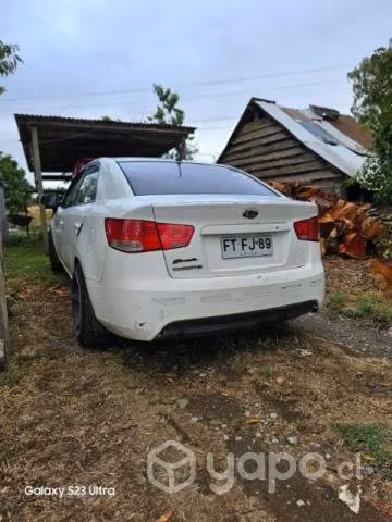 Cerato 2013