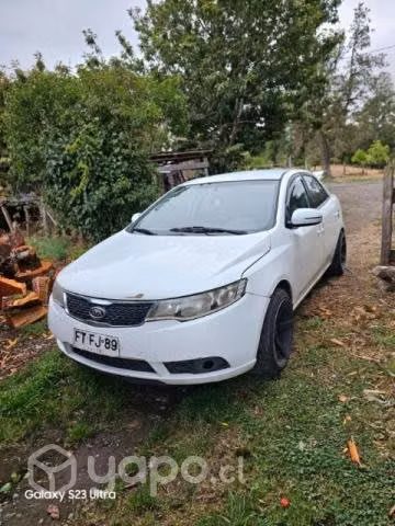 Cerato 2013
