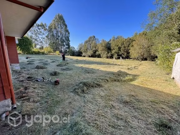 Corte de pasto y mantención de jardines