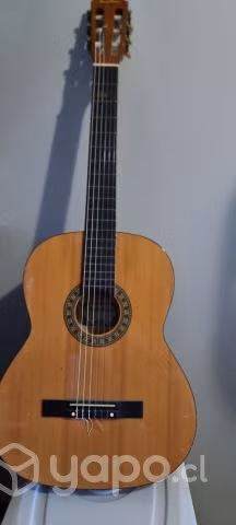 Guitarra acustica