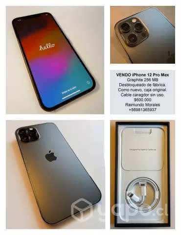 Apple iPhone 12 Pro Max (256 GB) - Grafito