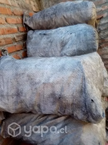 Carbón premium argentino