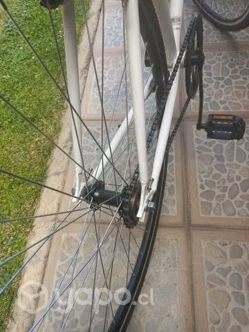 Bicicleta raleigh