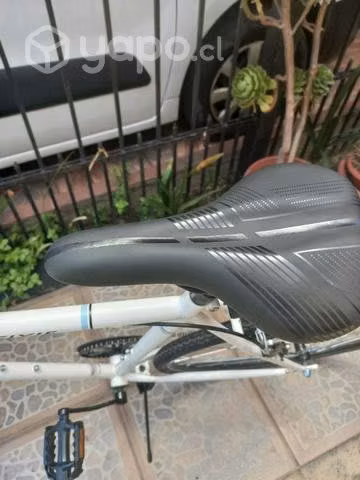 Bicicleta raleigh