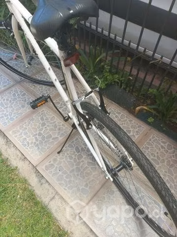 Bicicleta raleigh