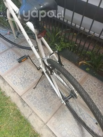 Bicicleta raleigh