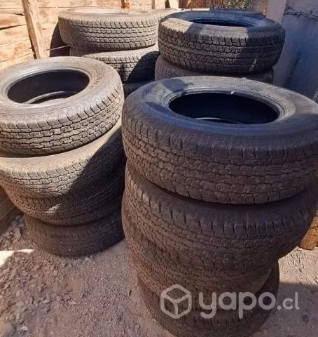 Neumáticos R16 y R17 - Imagen 2