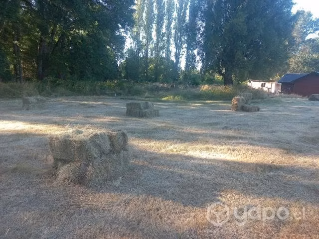 Fardos - Imagen 3