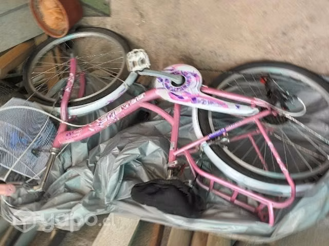 Bicicleta de paseo