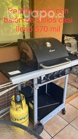 Parrilla a gas por mudanza
