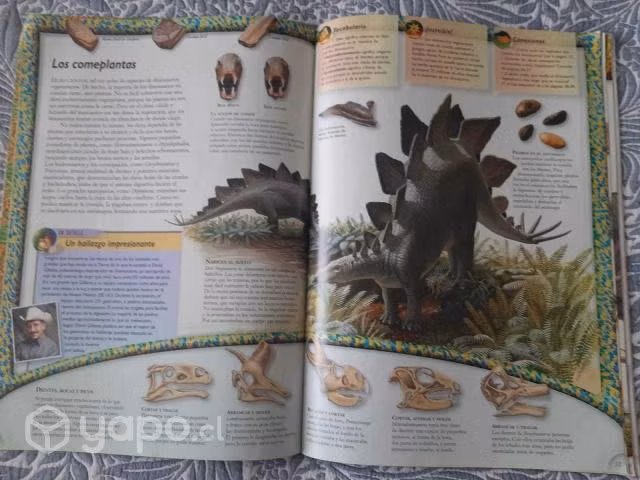 Dinosaurios de National Geographic