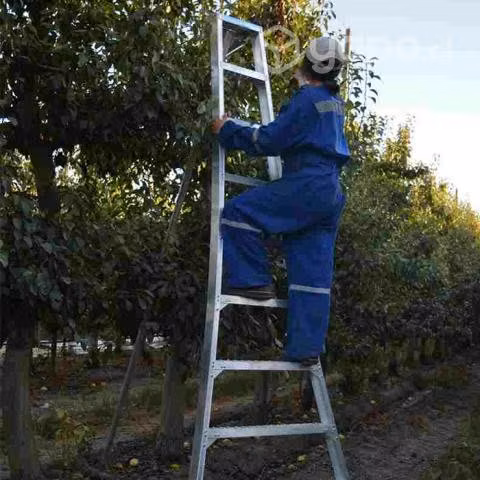 Escalera agrícola Cosechera 2.4 Metros